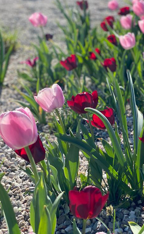 services-gartenplanung-quick